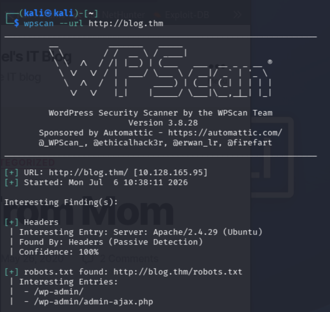 Ejecución inicial de WPScan